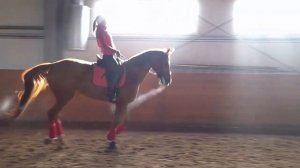 ПРАВИЛЬНАЯ ПОСАДКА ВСАДНИКА НА ГАЛОПЕ