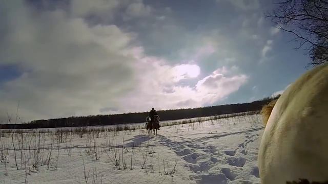 Horse Riding смотреть онлайн