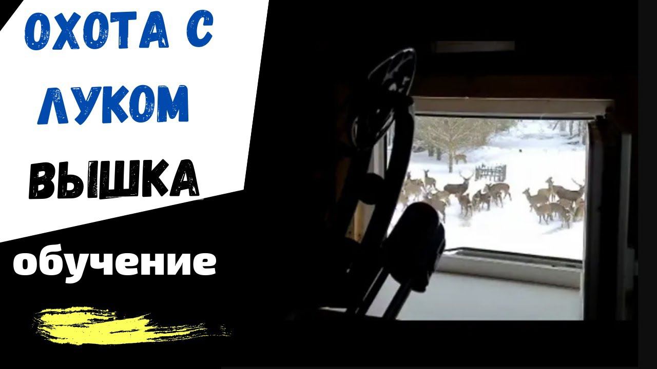 ОХОТА с луком | вышка | ОБУЧЕНИЕ смотреть онлайн