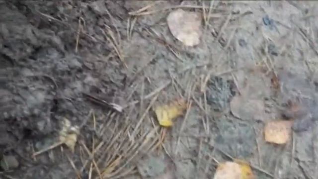 коп с конкурсом смотреть онлайн