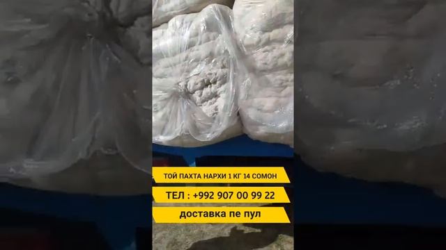 Той пахта пахта курпача учун смотреть онлайн