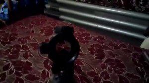 Хатсан125  Стреляем КАБАНА!