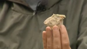 Заповедная Россия. Ильменский заповедник и парк Таганай.