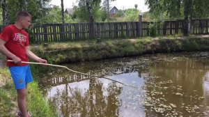 КАРПЫ на ПАЛКУ в СВОЁМ ПРУДУ! Как сделать самодельную удочку