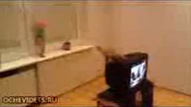 Neudachnaya popitka смотреть онлайн