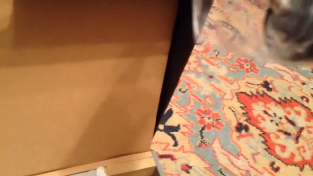 Новый ноутбук смотреть онлайн