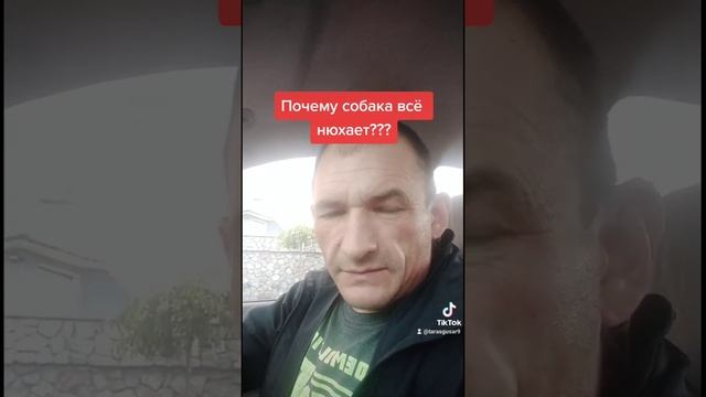 Почему собака всё нюхает??? #дрессировкасобакКременчуг #собачийнюх смотреть онлайн