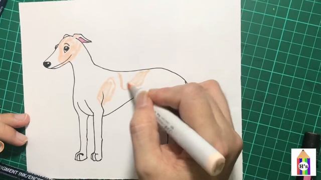 How To Draw Greyhound | art for kids смотреть онлайн