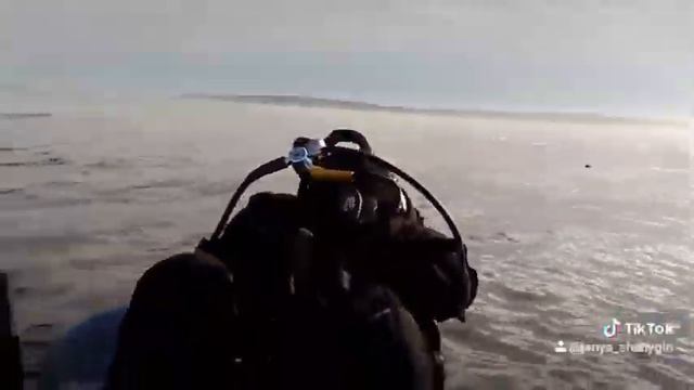 Мой дайвинг смотреть онлайн