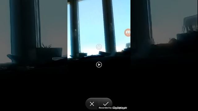 Толи Гай вернулся имя толя????? смотреть онлайн