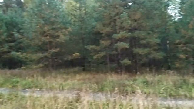 Путешествие из Москвы в Муром на LADA калина смотреть онлайн