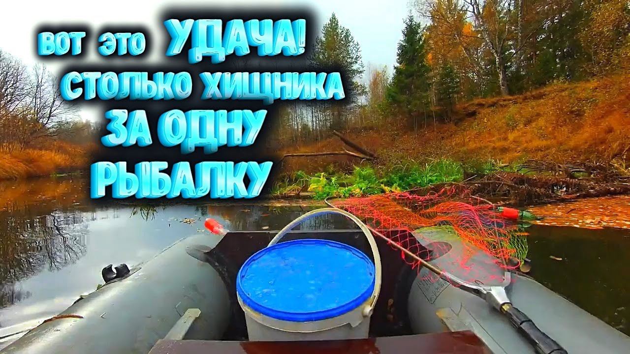 ✔ ВОТ ЭТО УДАЧА! Столько ХИЩНИКА за одну рыбалку Рыбалка в ТАЁЖНОЙ РЕКЕ смотреть онлайн