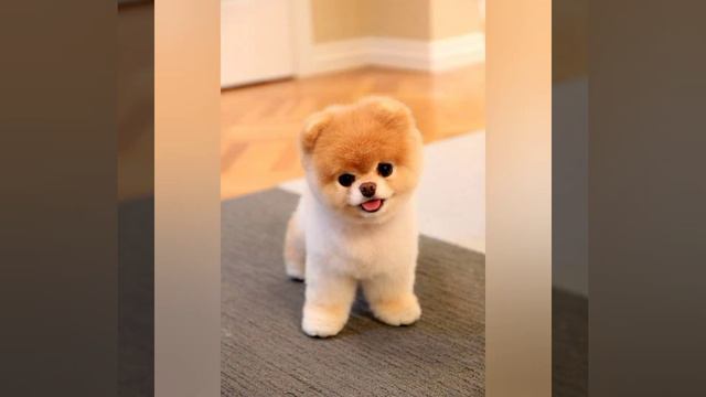 милашки смотреть онлайн