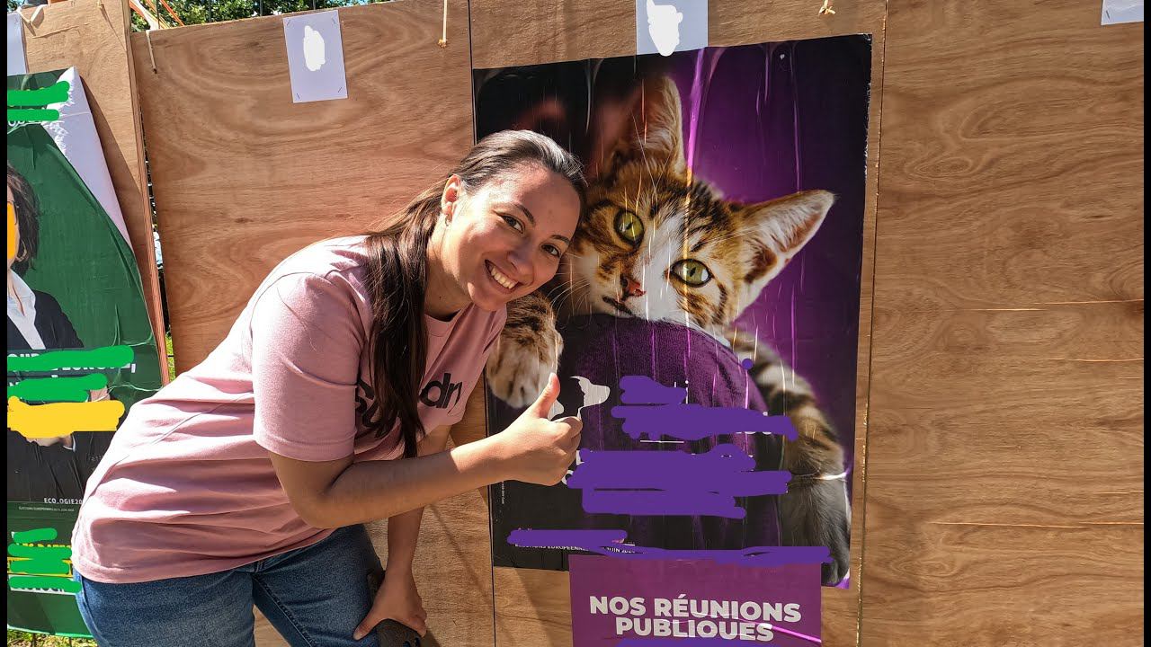 Франция. Выборы в Европарламент. Кто за мир? смотреть онлайн