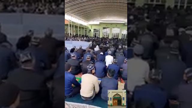 AZON смотреть онлайн