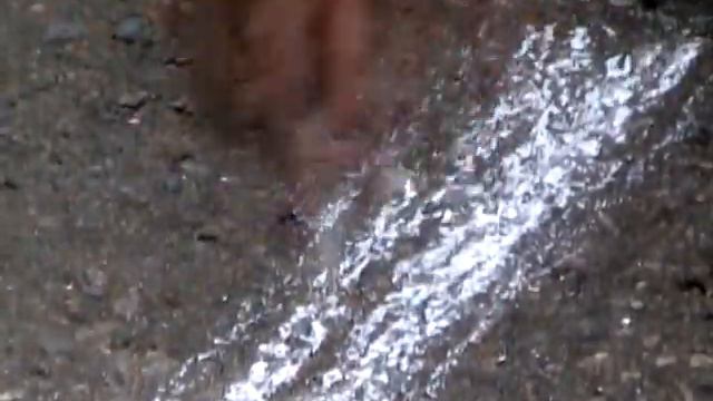 Видео-портфолио. Виктория. смотреть онлайн