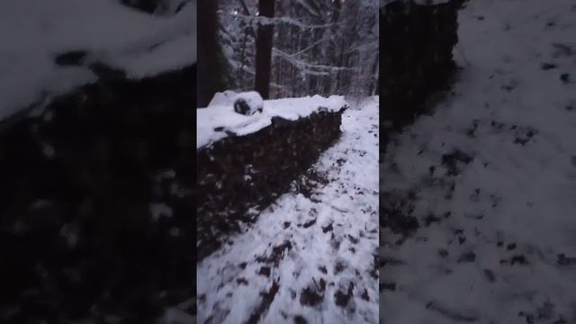 На дворе дрова