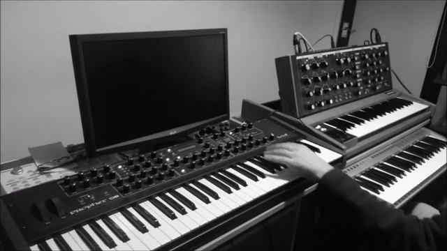 Happy Party - Prophet 08 & Moog Voyager Old School смотреть онлайн