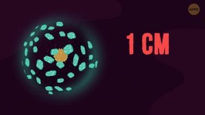 Вы почувствуете себя крошечным, узнав истинные размеры Вселенной!
