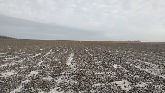 Підживлення озимих аміачною селітрою?? Стан пшениці, залишає бажати кращого. Дорого, але потрібно ? смотреть онлайн