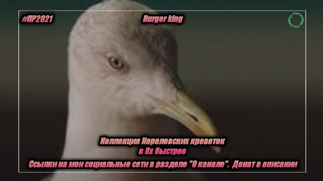 Burger King — «Коллекция Королевских креветок» в 8х быстрее | PRO Рекламу