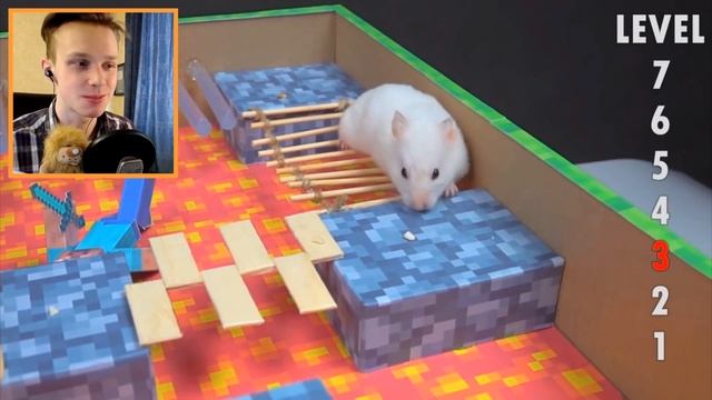 ИСПЫТАНИЕ: ХОМЯК vs. ЛАБИРИНТА в МАЙНКРАФТЕ! / РЕАКЦИЯ на МАЙНКРАФТ в РЕАЛЬНОЙ ЖИЗНИ смотреть онлайн
