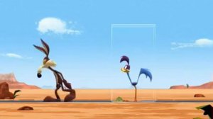 Койот и бегун(1)