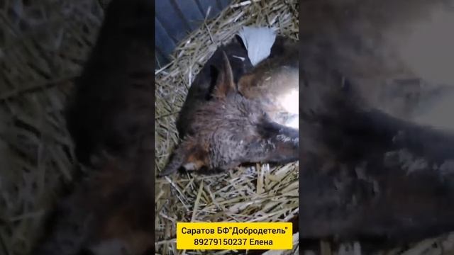 2022-11-16 смотреть онлайн