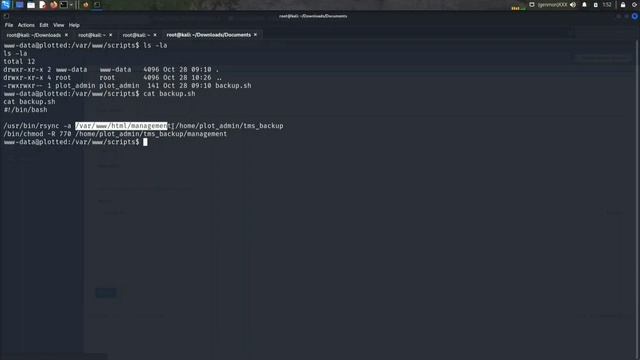 Plotted TMS Walkthrough | TryHackMe