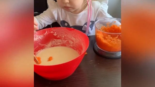 Цирковые Представления и Шоу