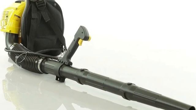 Воздуходувка CHAMPION GBR333 смотреть онлайн