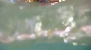 Serena waterpark. Villivirta. Wild stream. Дикий поток..