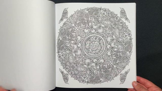 Nature Mandalas By Melpomeni Chatzipanagiotou Coloring Book Flip Through