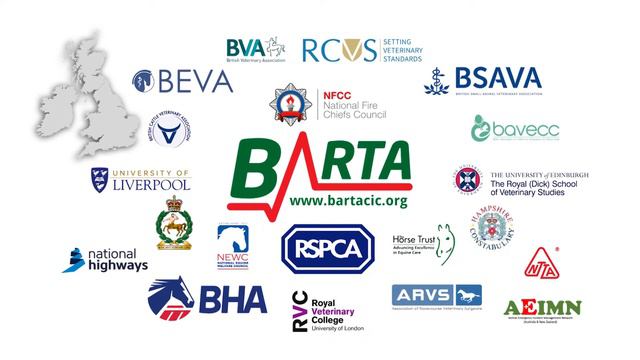 BARTA Advert смотреть онлайн