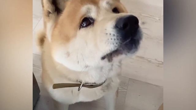 Отицание души и искренность магического угла