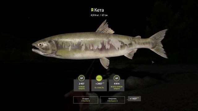 Русская Рыбалка 4 - РР4 | ЧТО УДАЛОСЬ ПОЙМАТЬ В ПЕРВЫЙ ДЕНЬ | р. Яма смотреть онлайн