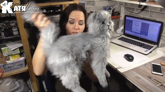 Серый кот игрушка смотреть онлайн