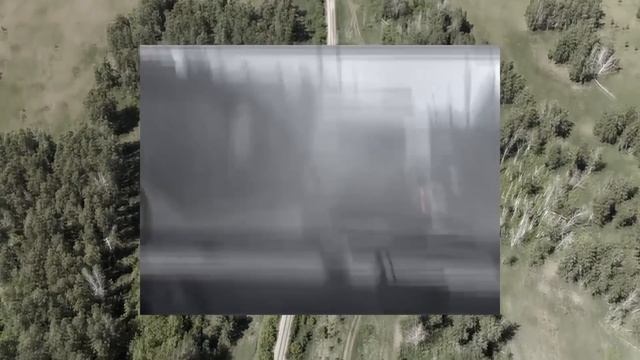 Печальная история Лизы Фомкиной. Как появилась «ЛизаАлерт». смотреть онлайн