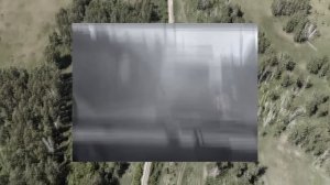 Печальная история Лизы Фомкиной. Как появилась «ЛизаАлерт».