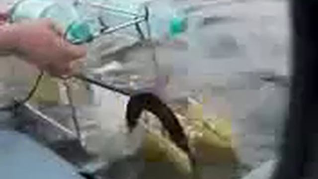 Шок Альтернативная бесплатная энергия вокруг нас Самодельная мини ГЭС смотреть онлайн
