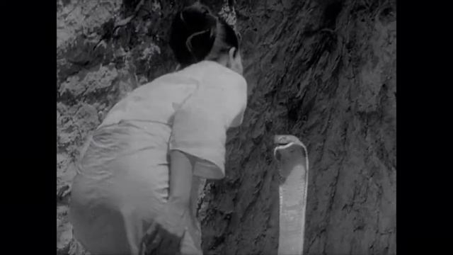 Поцелуй змеи смотреть онлайн