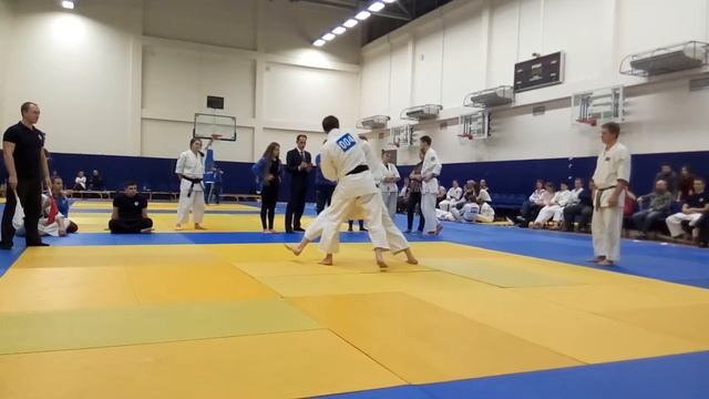 Финал Поединков Тошу Рандори - открытый турнир по айкидо "Кубок Черноземья 2017" смотреть онлайн