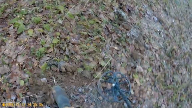Коп.Все тот же лес.Советы и ходячки.Фортуна М3 выбиваю поляну 13.11.2018 смотреть онлайн