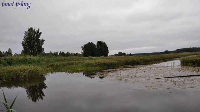 Рыбалка на карася. Ловим живца. смотреть онлайн