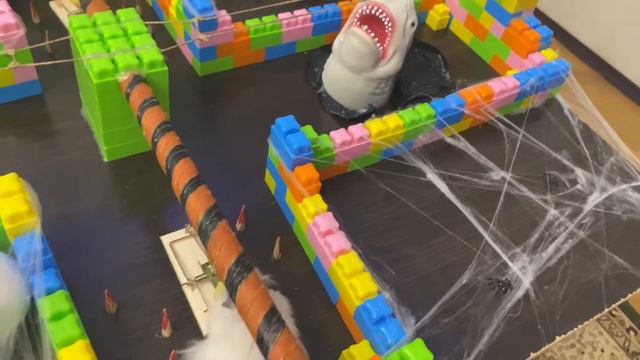Лабиринт страха. #лабиринт_страха #hamster_obstacle_course смотреть онлайн