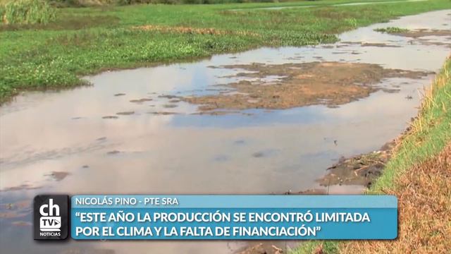 NICOLAS PINO ESTE AÑO LA PRODUCCIÓN SE ENCONTRÓ LIMITADA POR EL CLIMA Y LA FALTA DE FINANCIACIÓN смотреть онлайн