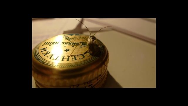 КОНТАКТ Веб сериал Первая встреча СОВЕРШЕННО СЕКРЕТНО смотреть онлайн