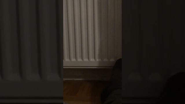 My tuning fork/ meine Stimmgabel 440 hz смотреть онлайн