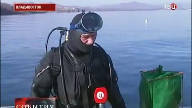 Дальневосточный трепанг в Екатеринбурге