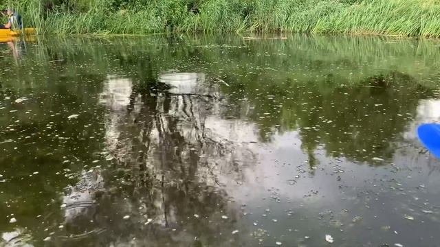 Байдарочники | Экстрим смотреть онлайн